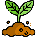 Indigenous Seeds
